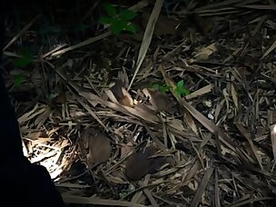 Best Toilet Porn Videos